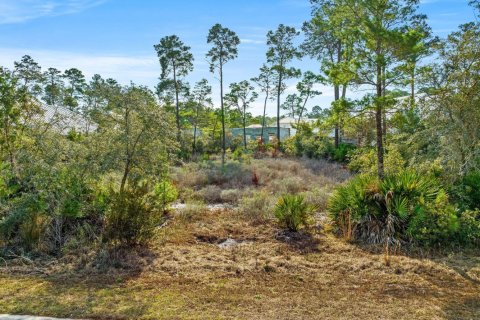 Land in Inlet Beach, Florida № 559317 - photo 1