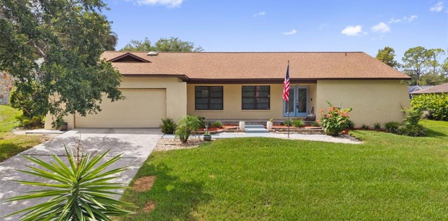 House in Valrico, Florida 4 bedrooms, 197.14 sq.m. № 2209209