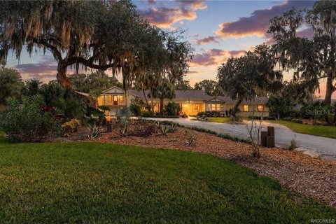 Villa ou maison à Inverness, Floride 4 chambres, 366.87 m2 № 2423714