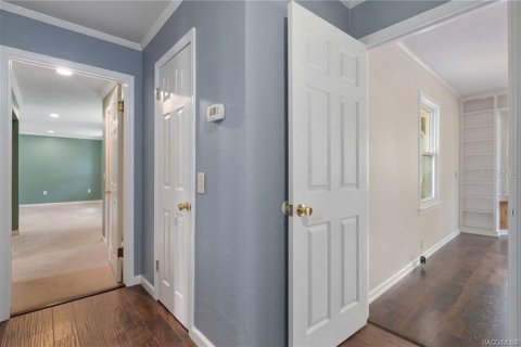 Villa ou maison à vendre à Inverness, Floride: 4 chambres, 366.87 m2 № 2423714 - photo 15