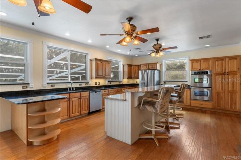 Villa ou maison à vendre à Inverness, Floride: 4 chambres, 366.87 m2 № 2423714 - photo 25