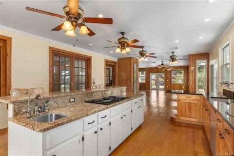 Villa ou maison à vendre à Inverness, Floride: 4 chambres, 366.87 m2 № 2423714 - photo 28