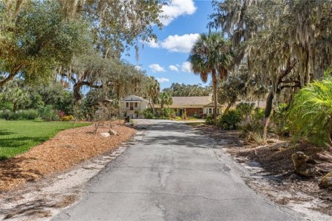 Villa ou maison à vendre à Inverness, Floride: 4 chambres, 366.87 m2 № 2423714 - photo 3