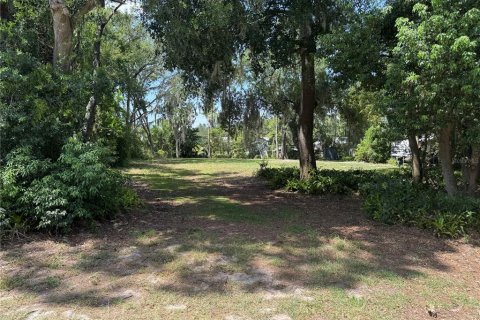 Terrain à vendre à Leesburg, Floride № 1847034 - photo 2