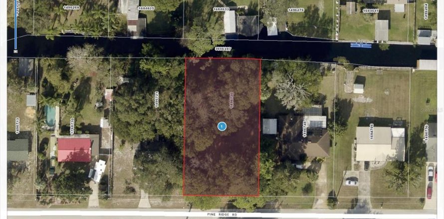 Terrain à Leesburg, Floride № 1847034
