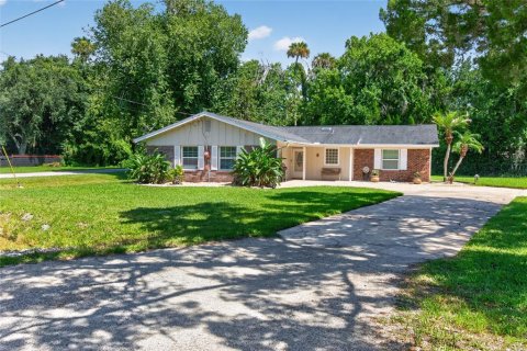 Villa ou maison à vendre à New Smyrna Beach, Floride: 4 chambres, 164.9 m2 № 2210316 - photo 2