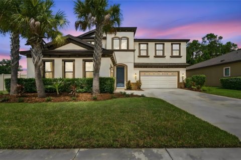 Casa en Land O' Lakes, Florida 5 dormitorios, 391.95 m2 № 2384069
