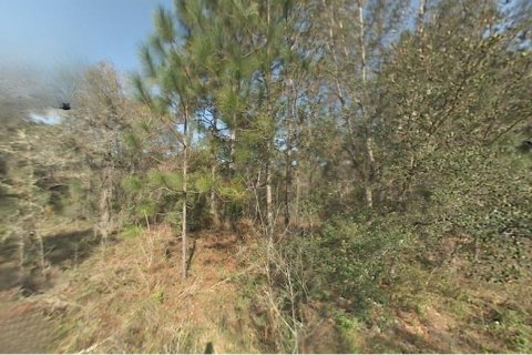 Land in Ocala, Florida № 2163648 - photo 2