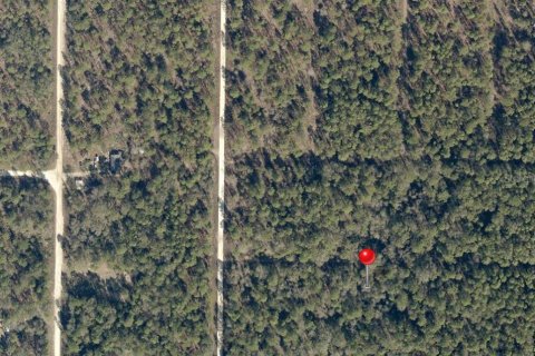Land in Ocala, Florida № 2163648 - photo 5