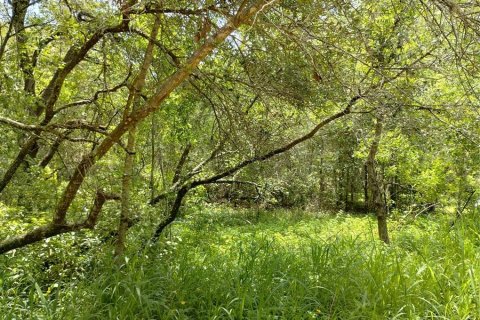 Land in Lady Lake, Florida № 2159983 - photo 2