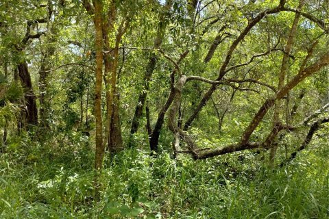 Land in Lady Lake, Florida № 2159983 - photo 4