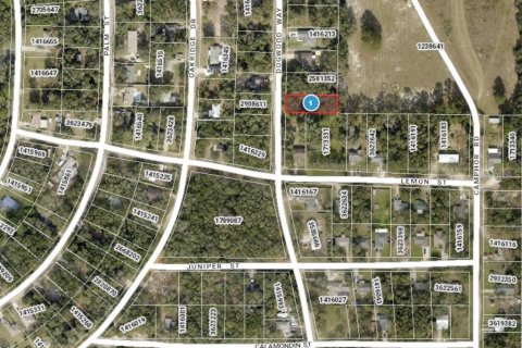 Land in Lady Lake, Florida № 2159983 - photo 9