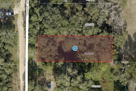 Land in Lady Lake, Florida № 2159983 - photo 8