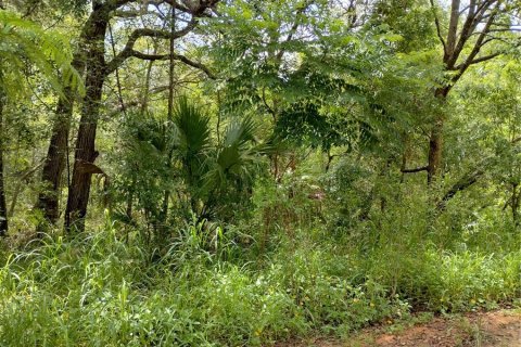 Land in Lady Lake, Florida № 2159983 - photo 6