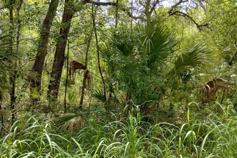 Land in Lady Lake, Florida № 2159983 - photo 3
