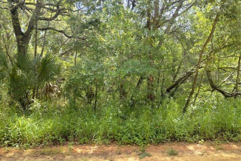 Land in Lady Lake, Florida № 2159983 - photo 5