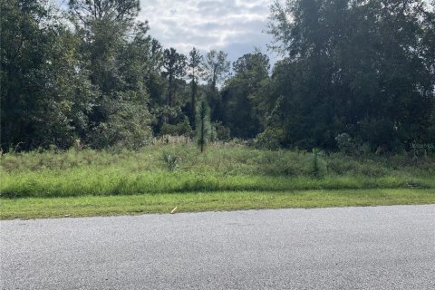 Land in Crescent City, Florida № 1442649 - photo 4