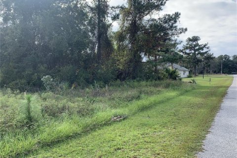 Land in Crescent City, Florida № 1442649 - photo 2