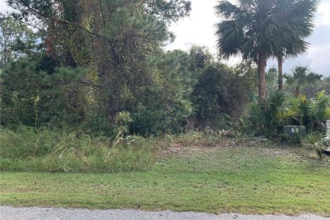 Land in Crescent City, Florida № 1442649 - photo 3