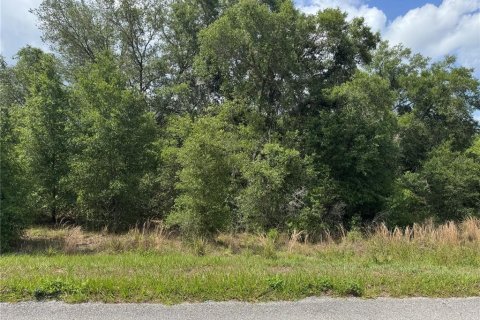 Land in Altoona, Florida № 2122776