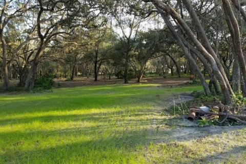 Terreno en venta en Groveland, Florida № 1918200 - foto 1