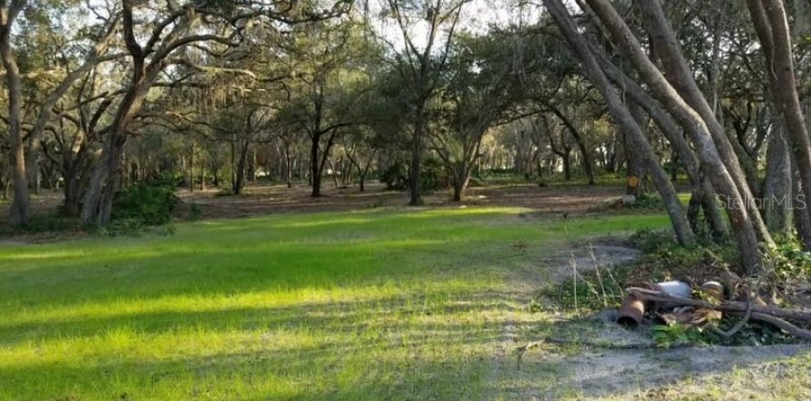 Terrain à Groveland, Floride № 1918200