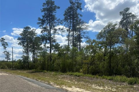 Terrain à vendre à Dunnellon, Floride № 2159371 - photo 4