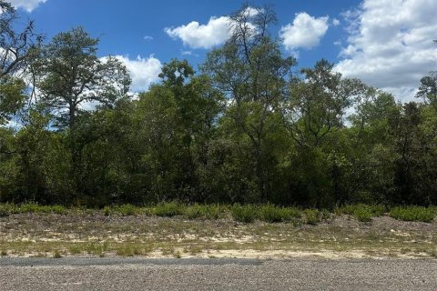 Terrain à Dunnellon, Floride № 2159371