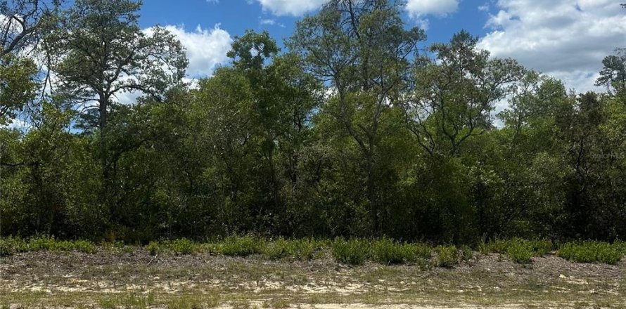 Terrain à Dunnellon, Floride № 2159371