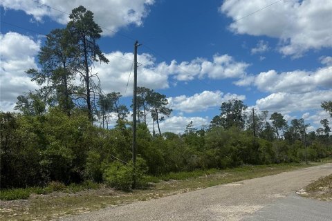 Terrain à vendre à Dunnellon, Floride № 2159371 - photo 3