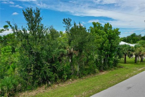 Land in Port Charlotte, Florida № 1903198 - photo 3