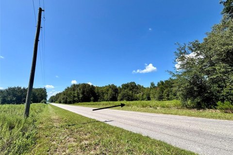Terrain à Dunnellon, Floride № 2294968