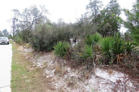 Terrain à vendre à Kissimmee, Floride № 1513803 - photo 2