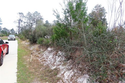Terrain à vendre à Kissimmee, Floride № 1513803 - photo 3