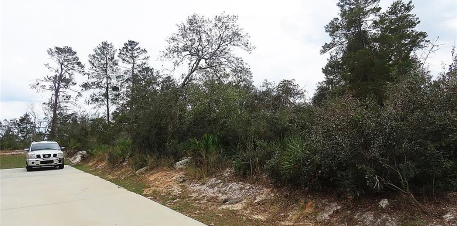 Terrain à Kissimmee, Floride № 1513803