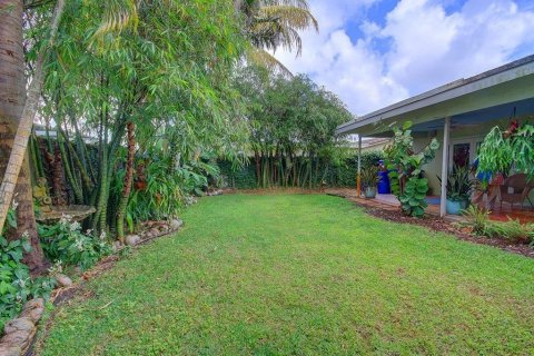 Villa ou maison à louer à Hollywood, Floride: 4 chambres, 252.88 m2 № 1185208 - photo 1