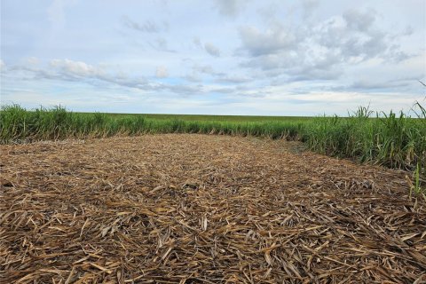 Propiedad comercial en venta en Palm Beach, Florida № 1936367 - foto 5