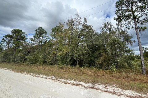 Land in Weeki Wachee, Florida № 2159028 - photo 4