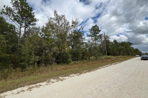 Land in Weeki Wachee, Florida № 2159028 - photo 3