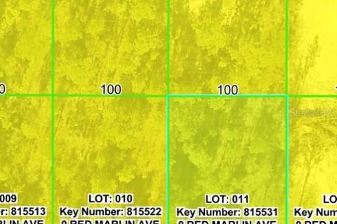 Land in Weeki Wachee, Florida № 2159028 - photo 7