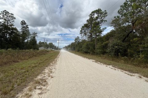 Land in Weeki Wachee, Florida № 2159028 - photo 6