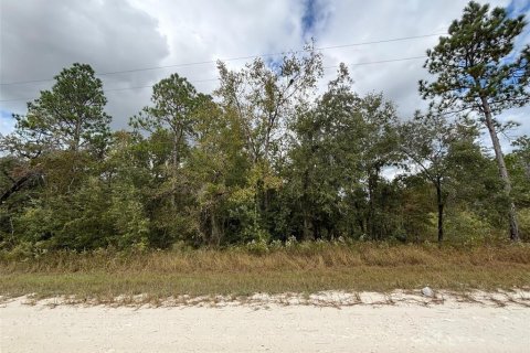 Land in Weeki Wachee, Florida № 2159028 - photo 2