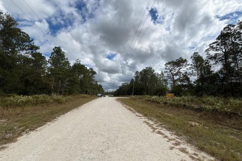 Land in Weeki Wachee, Florida № 2159028 - photo 5