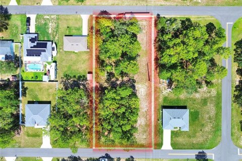 Terreno en Ocala, Florida № 2165722