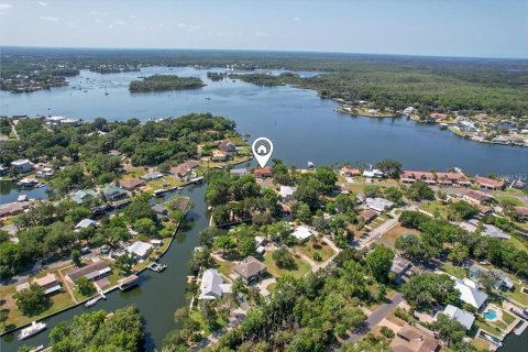 House in Crystal River, Florida 4 bedrooms, 264.59 sq.m. № 1197126 - photo 2