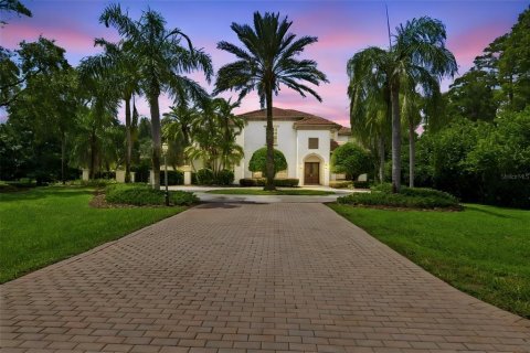 Villa ou maison à Odessa, Floride 4 chambres, 460.05 m2 № 2361593