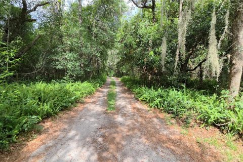 House in Bartow, Florida 2 bedrooms, 98.85 sq.m. № 2166935 - photo 22