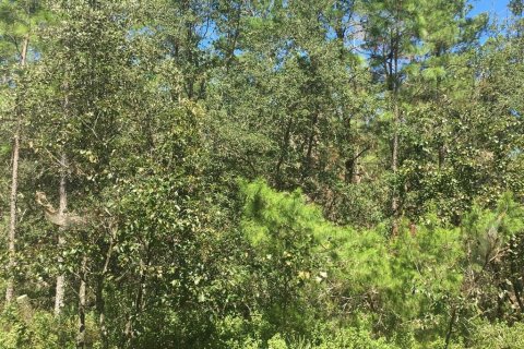 Land in Ocala, Florida № 2329150