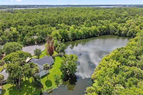 Villa ou maison à vendre à Port Orange, Floride: 3 chambres, 154.68 m2 № 2149646 - photo 30
