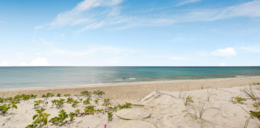 Condo in Riviera Beach, Florida, 2 bedrooms  № 924446